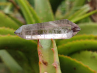 Polished Mixed Inclusion Window Quartz Crystals x 20 From Madagascar