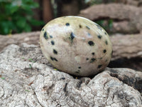 Polished Leopard Stone Free Forms x 12 From Zimbabwe