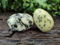 Polished Leopard Stone Free Forms x 12 From Zimbabwe