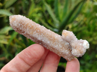 Natural Fairy Spirit Quartz Crystals x 24 From Boekenhouthoek, South Africa