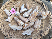 Natural Fairy Spirit Quartz Crystals x 24 From Boekenhouthoek, South Africa