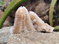 Natural Fairy Spirit Quartz Crystals x 24 From Boekenhouthoek, South Africa