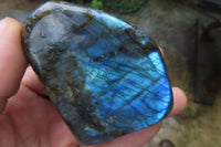 Polished Labradorite Standing Free Forms x 3 From Tulear, Madagascar