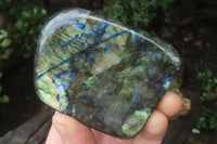 Polished Labradorite Standing Free Forms x 3 From Tulear, Madagascar