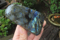 Polished Labradorite Standing Free Forms x 3 From Tulear, Madagascar