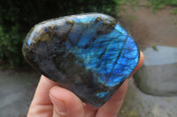 Polished Labradorite Standing Free Forms x 3 From Tulear, Madagascar