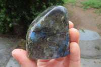 Polished Labradorite Standing Free Forms x 3 From Tulear, Madagascar