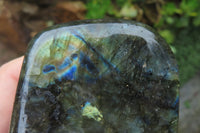 Polished Labradorite Standing Free Forms x 3 From Tulear, Madagascar