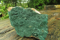 Natural Botryoidal Malachite Specimen x 1 From Tenke Fungurume, Congo