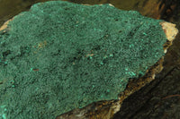 Natural Botryoidal Malachite Specimen x 1 From Tenke Fungurume, Congo