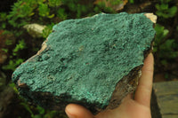 Natural Botryoidal Malachite Specimen x 1 From Tenke Fungurume, Congo