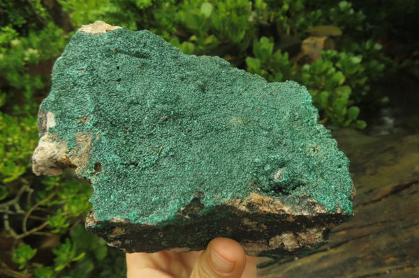 Natural Botryoidal Malachite Specimen x 1 From Tenke Fungurume, Congo