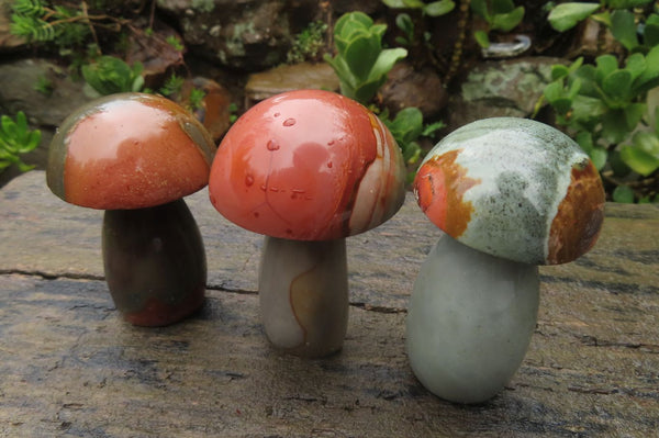 Polished Polychrome Jasper Mushrooms x 6 From Madagascar