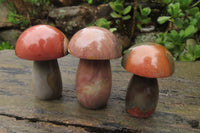 Polished Polychrome Jasper Mushrooms x 6 From Madagascar