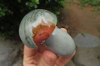 Polished Polychrome Jasper Mushrooms x 6 From Madagascar