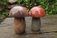 Polished Polychrome Jasper Mushrooms x 6 From Madagascar