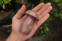 Polished Polychrome Jasper Mushrooms x 6 From Madagascar