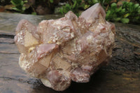 Natural Red Hematoid Quartz Cluster x 1 From Karoi, Zimbabwe