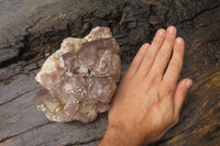 Natural Red Hematoid Quartz Cluster x 1 From Karoi, Zimbabwe