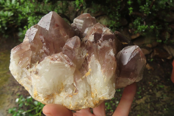 Natural Red Hematoid Quartz Cluster x 1 From Karoi, Zimbabwe