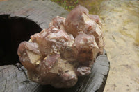 Natural Red Hematoid Quartz Cluster x 1 From Karoi, Zimbabwe