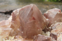 Natural Red Hematoid Quartz Cluster x 1 From Karoi, Zimbabwe