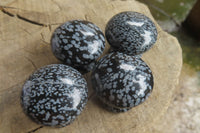 Polished Snowflake Obsidian Drawer - Door Knobs - Sold Per Item - From Mexico