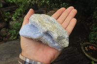 Natural Blue Lace Agate Geode Specimens x 12 From Malawi