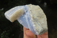 Natural Blue Lace Agate Geode Specimens x 12 From Malawi