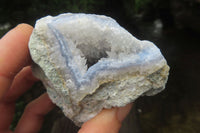 Natural Blue Lace Agate Geode Specimens x 12 From Malawi