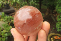 Polished Golden Healer Quartz Spheres x 12 From Madagascar