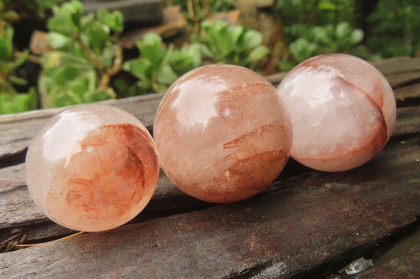 Polished Golden Healer Quartz Spheres x 12 From Madagascar