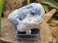 Natural Celestite Geode Specimen x 1 From Sakoany, Madagascar