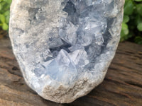 Natural Celestite Geode Specimen x 1 From Sakoany, Madagascar