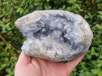 Natural Celestite Geode Specimen x 1 From Sakoany, Madagascar