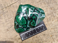 Polished Flower Banded Malachite Free Forms x 4 From Congo