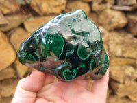 Polished Flower Banded Malachite Free Forms x 4 From Congo