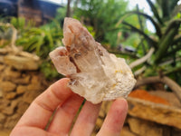 Natural Red Hematoid Quartz Crystals x 12 From Karoi, Zimbabwe