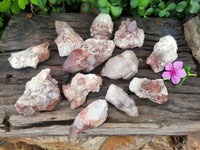 Natural Red Hematoid Quartz Crystals x 12 From Karoi, Zimbabwe