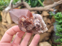 Natural Red Hematoid Quartz Crystals x 12 From Karoi, Zimbabwe