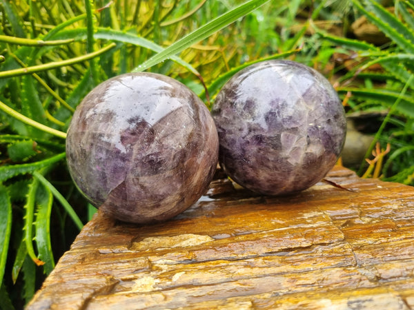 Polished Chevron Amethyst Spheres x 2 from Madagascar