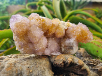 Natural Ametrine Spirit Quartz Clusters x 6 From Boekenhouthoek, South Africa