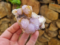 Natural Ametrine Spirit Quartz Clusters x 6 From Boekenhouthoek, South Africa