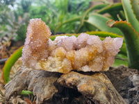 Natural Ametrine Spirit Quartz Clusters x 6 From Boekenhouthoek, South Africa