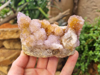 Natural Ametrine Spirit Quartz Clusters x 6 From Boekenhouthoek, South Africa