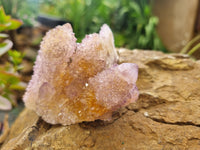 Natural Ametrine Spirit Quartz Clusters x 6 From Boekenhouthoek, South Africa