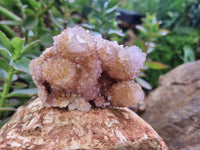 Natural Ametrine Spirit Quartz Clusters x 6 From Boekenhouthoek, South Africa