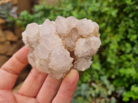 Natural Ametrine Spirit Quartz Clusters x 6 From Boekenhouthoek, South Africa