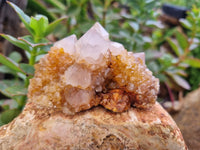 Natural Ametrine Spirit Quartz Clusters x 6 From Boekenhouthoek, South Africa