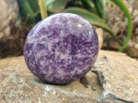 Polished Lepidolite Free Forms x 6 From Zimbabwe